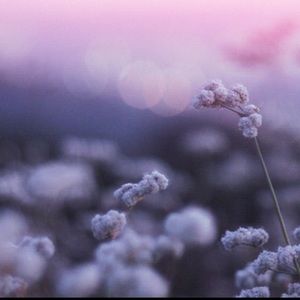 Meet your Posher, Miriam